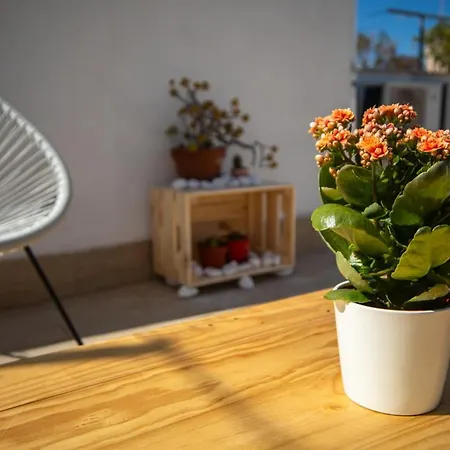 Le Dimore Delle Stelle 3* Mola di Bari